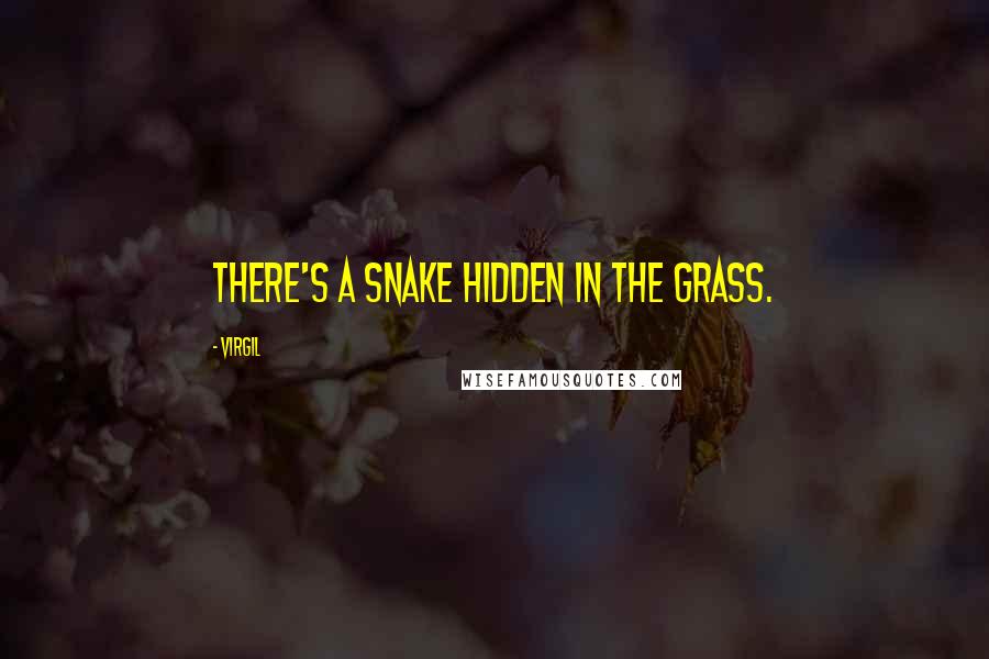 Virgil Quotes: There's a snake hidden in the grass.