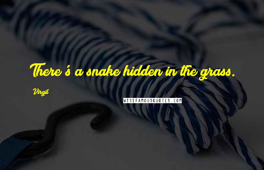 Virgil Quotes: There's a snake hidden in the grass.