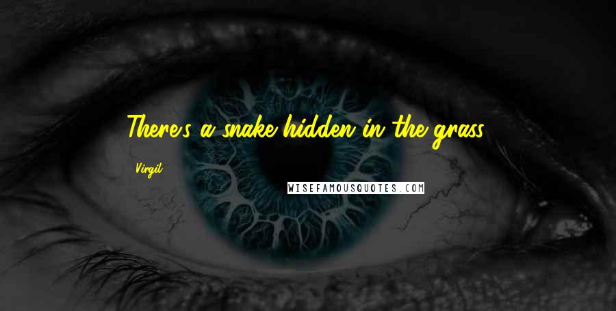 Virgil Quotes: There's a snake hidden in the grass.