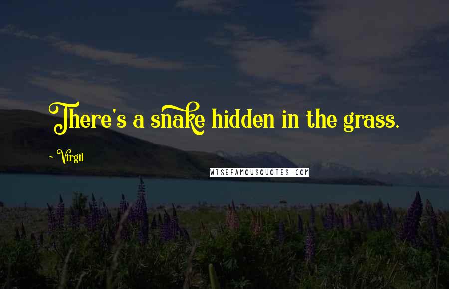 Virgil Quotes: There's a snake hidden in the grass.