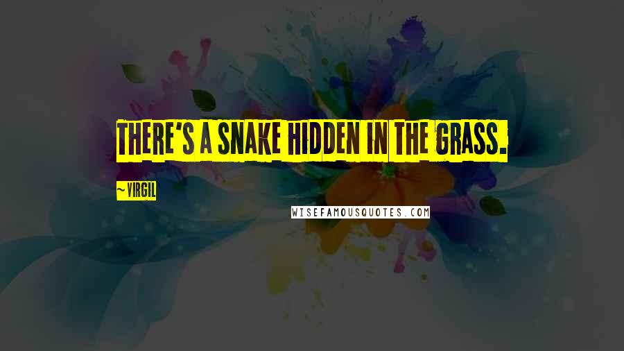 Virgil Quotes: There's a snake hidden in the grass.