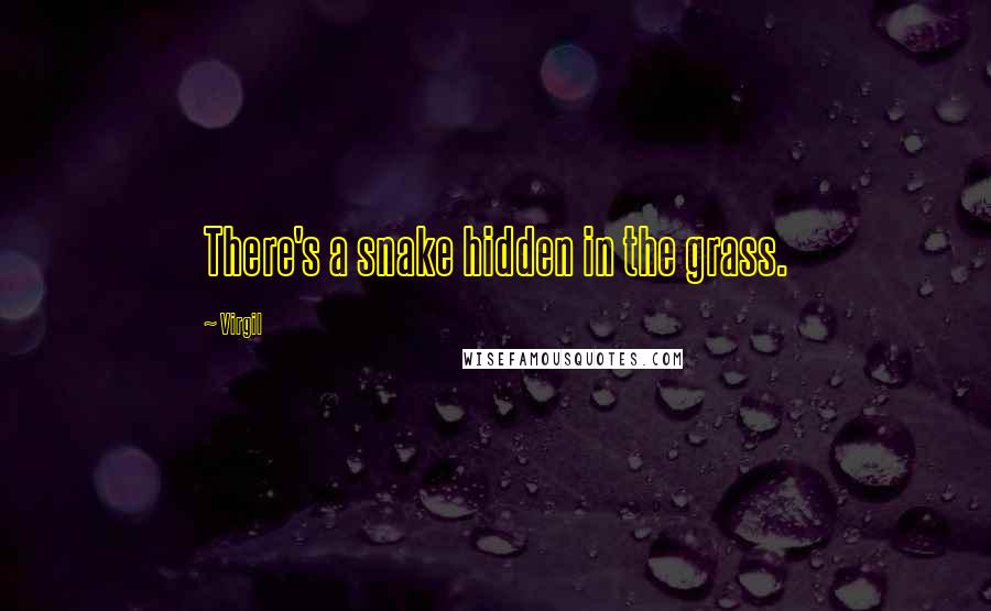 Virgil Quotes: There's a snake hidden in the grass.