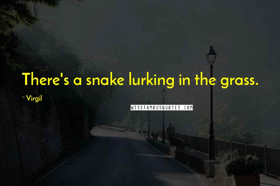 Virgil Quotes: There's a snake lurking in the grass.