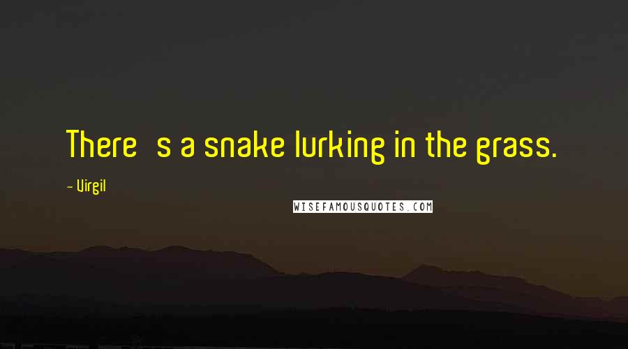 Virgil Quotes: There's a snake lurking in the grass.