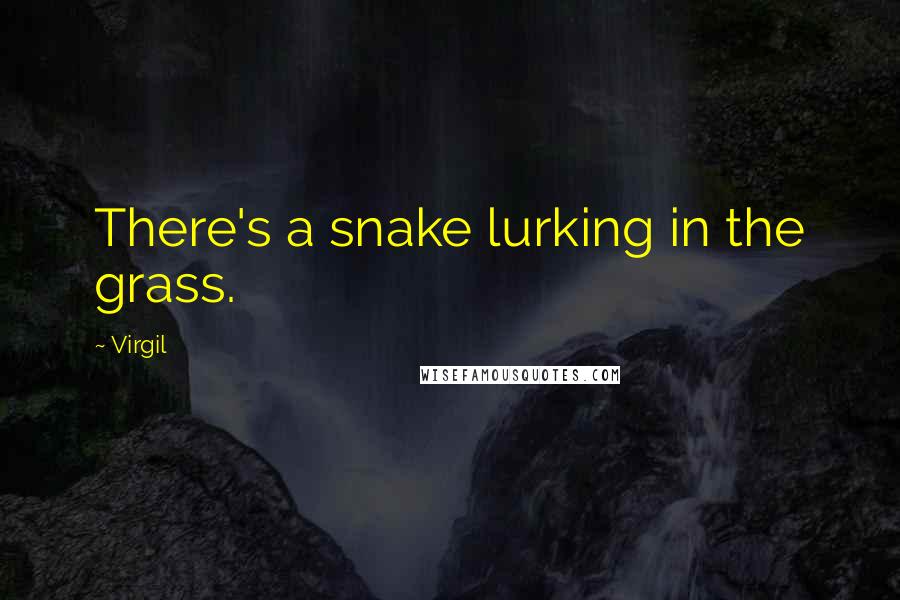 Virgil Quotes: There's a snake lurking in the grass.