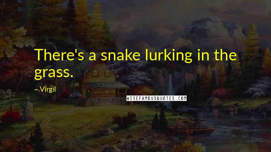 Virgil Quotes: There's a snake lurking in the grass.