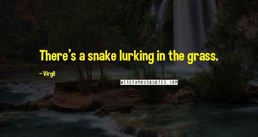 Virgil Quotes: There's a snake lurking in the grass.