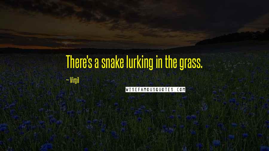 Virgil Quotes: There's a snake lurking in the grass.