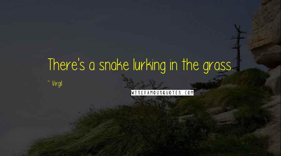 Virgil Quotes: There's a snake lurking in the grass.