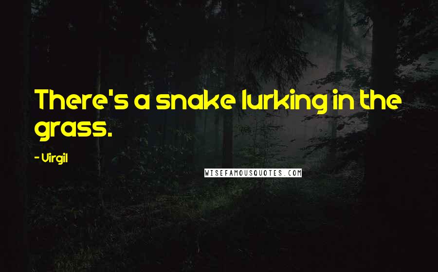 Virgil Quotes: There's a snake lurking in the grass.