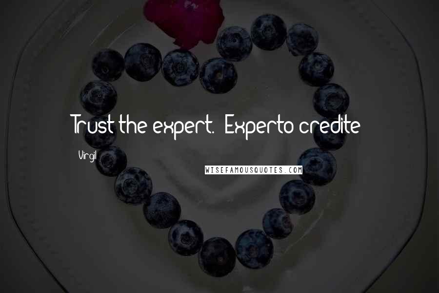 Virgil Quotes: Trust the expert. -Experto credite