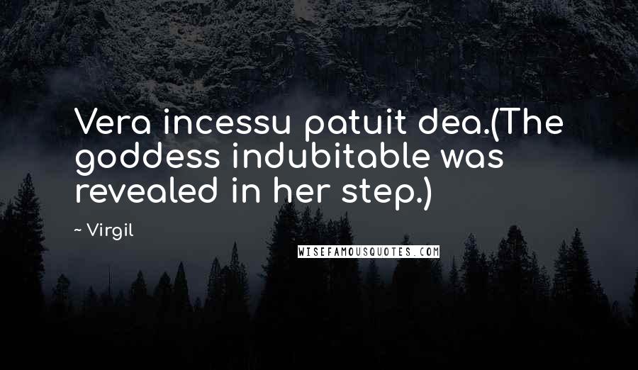 Virgil Quotes: Vera incessu patuit dea.(The goddess indubitable was revealed in her step.)