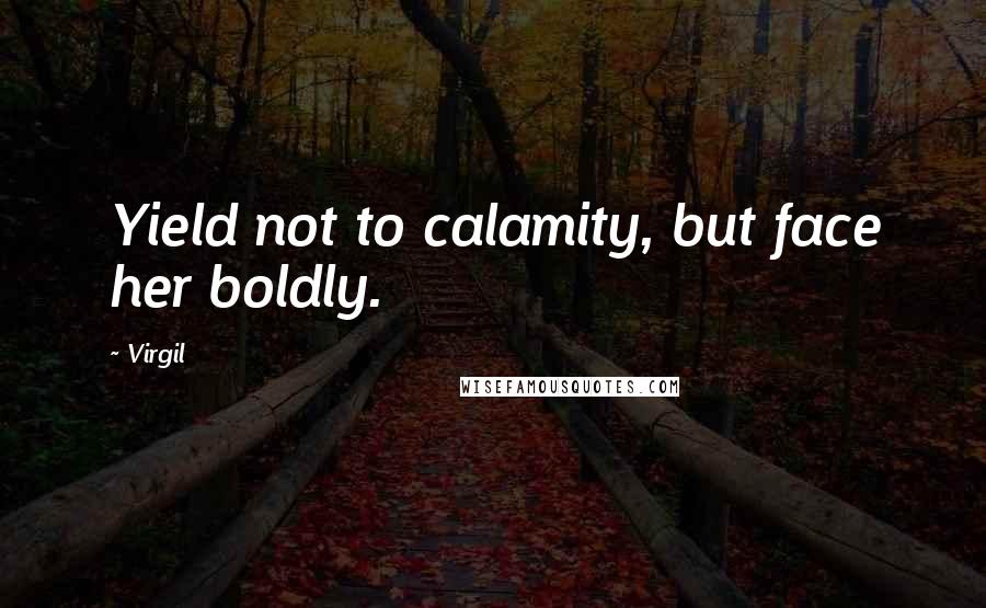 Virgil Quotes: Yield not to calamity, but face her boldly.