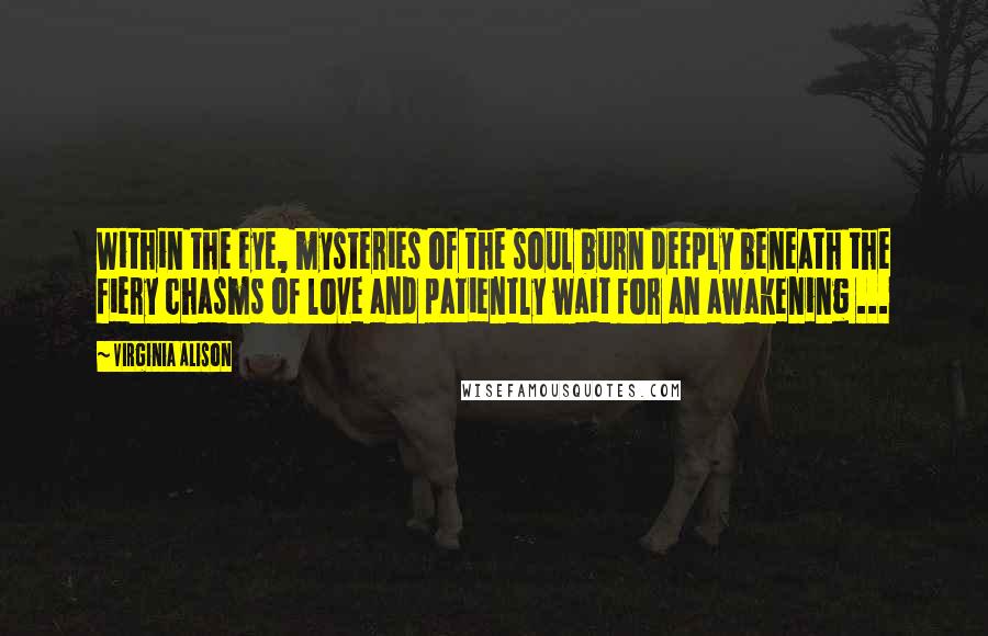 Virginia Alison Quotes: Within the eye, mysteries of the soul burn deeply beneath the fiery chasms of love and patiently wait for an awakening ...