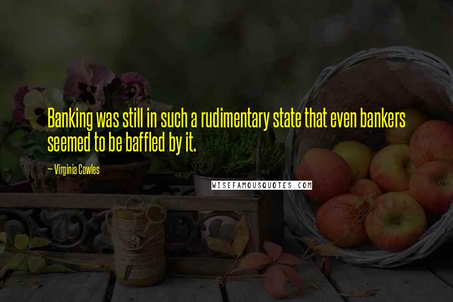 Virginia Cowles Quotes: Banking was still in such a rudimentary state that even bankers seemed to be baffled by it.