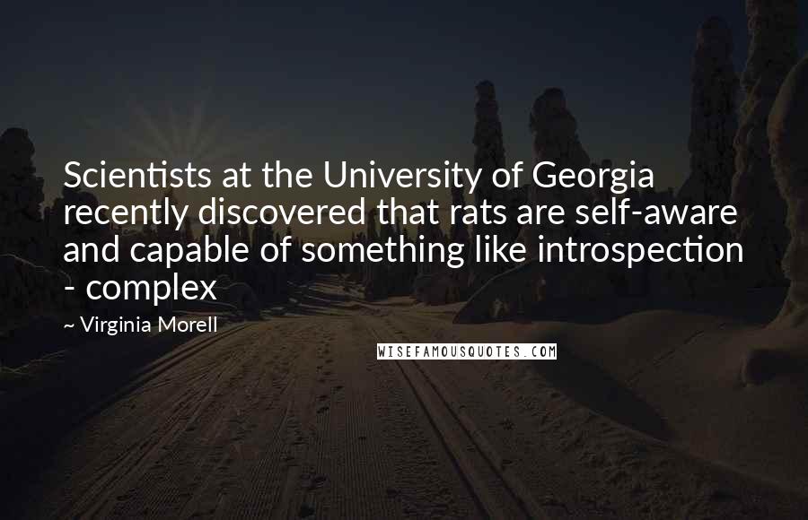 Virginia Morell Quotes: Scientists at the University of Georgia recently discovered that rats are self-aware and capable of something like introspection - complex
