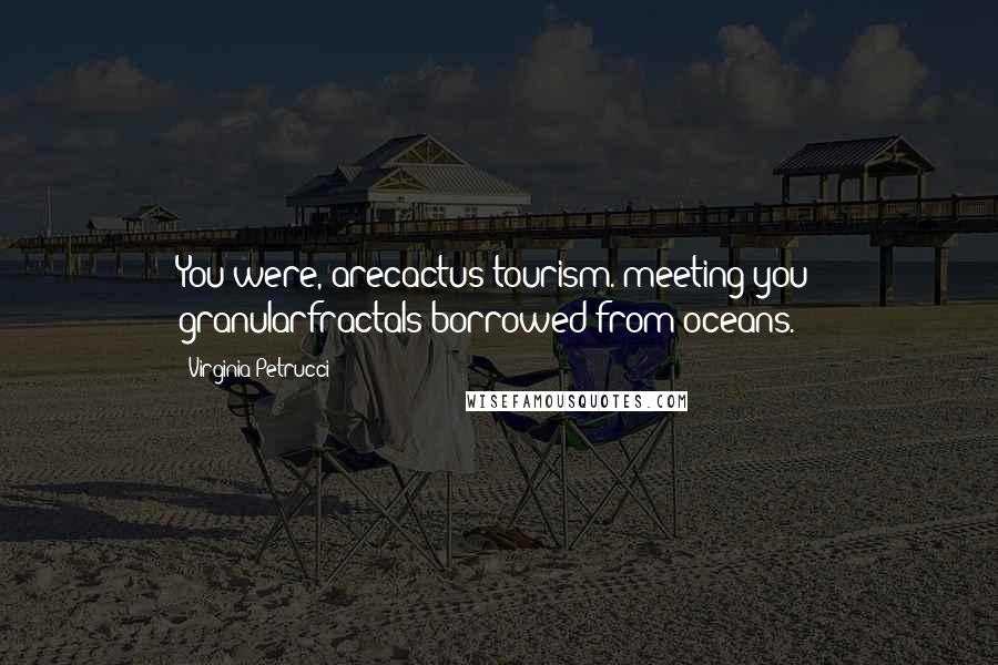 Virginia Petrucci Quotes: You were, arecactus tourism. meeting you: granularfractals borrowed from oceans.