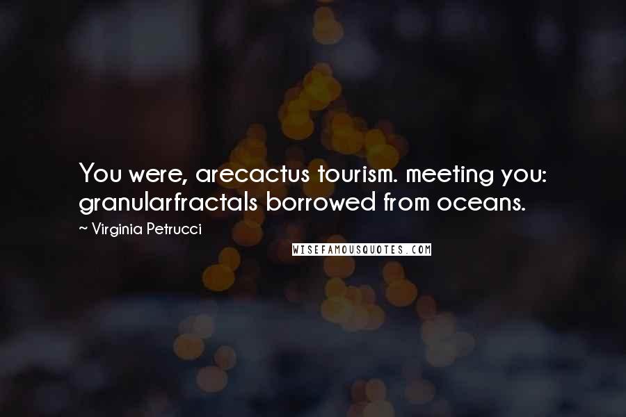 Virginia Petrucci Quotes: You were, arecactus tourism. meeting you: granularfractals borrowed from oceans.