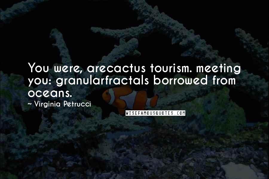 Virginia Petrucci Quotes: You were, arecactus tourism. meeting you: granularfractals borrowed from oceans.