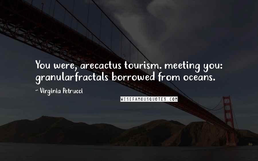 Virginia Petrucci Quotes: You were, arecactus tourism. meeting you: granularfractals borrowed from oceans.