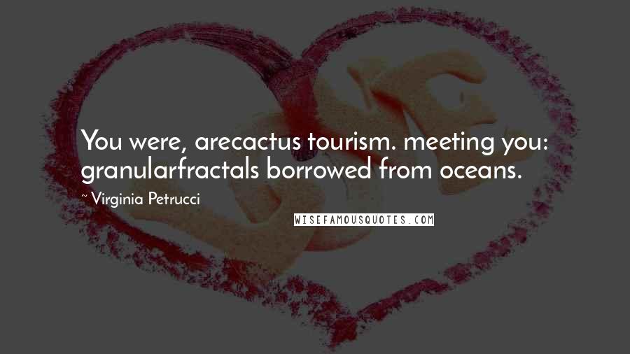 Virginia Petrucci Quotes: You were, arecactus tourism. meeting you: granularfractals borrowed from oceans.