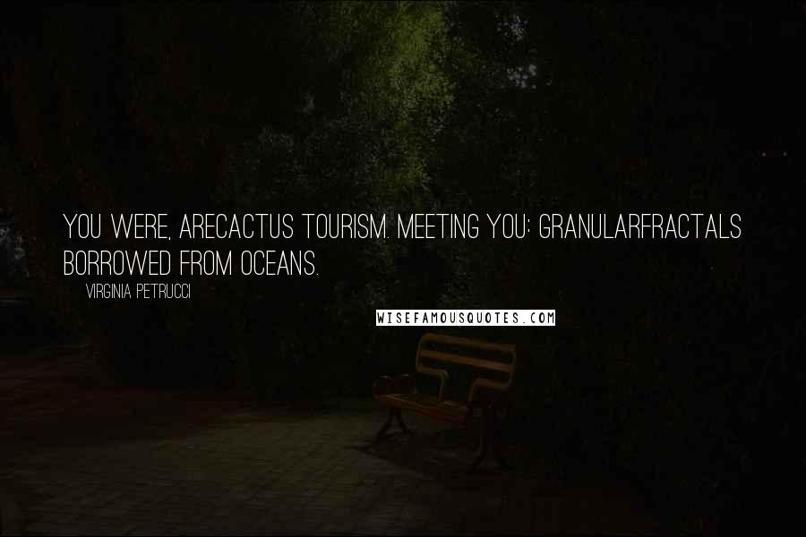 Virginia Petrucci Quotes: You were, arecactus tourism. meeting you: granularfractals borrowed from oceans.