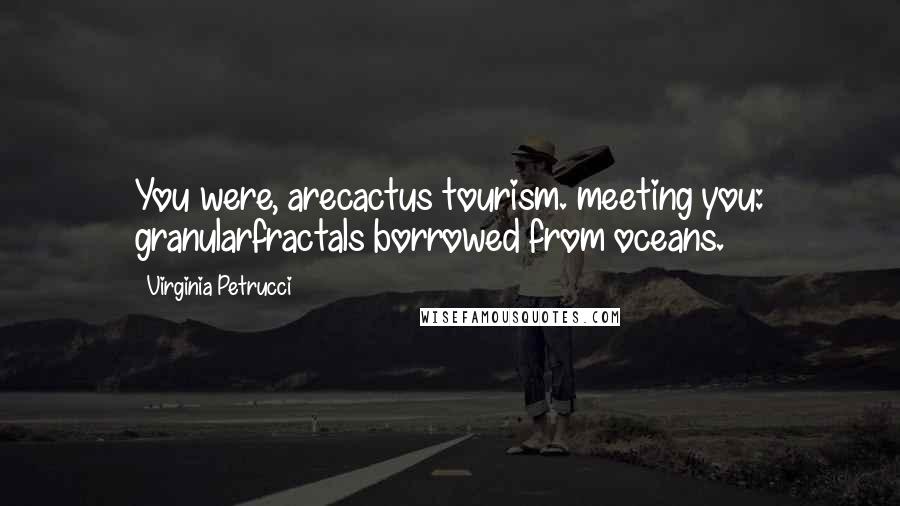 Virginia Petrucci Quotes: You were, arecactus tourism. meeting you: granularfractals borrowed from oceans.