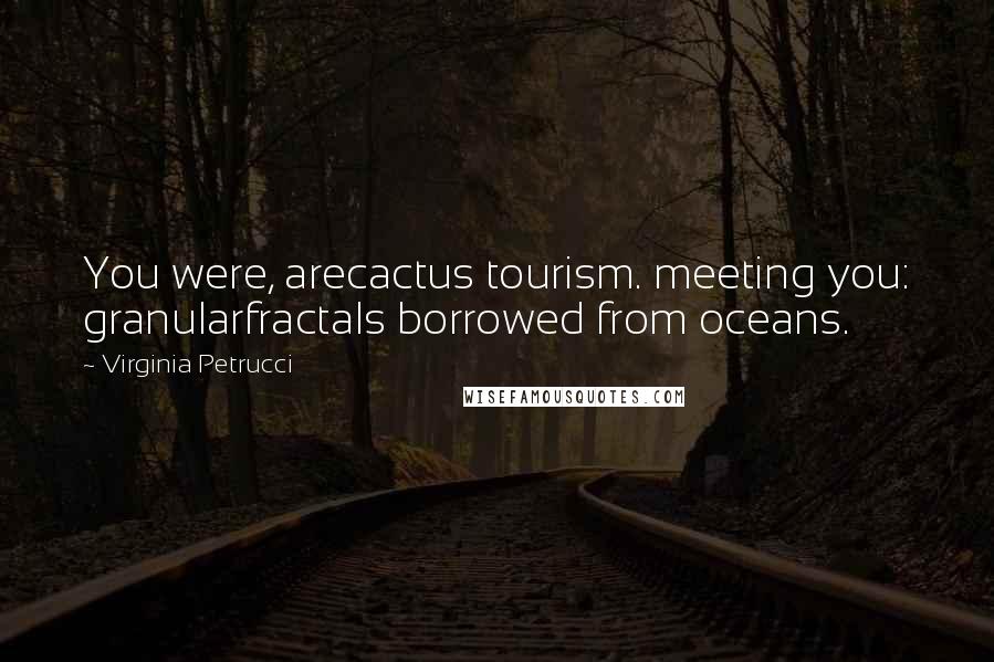 Virginia Petrucci Quotes: You were, arecactus tourism. meeting you: granularfractals borrowed from oceans.