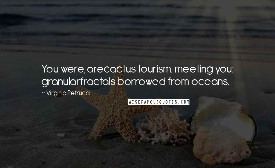 Virginia Petrucci Quotes: You were, arecactus tourism. meeting you: granularfractals borrowed from oceans.