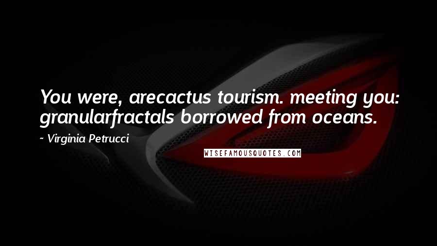 Virginia Petrucci Quotes: You were, arecactus tourism. meeting you: granularfractals borrowed from oceans.