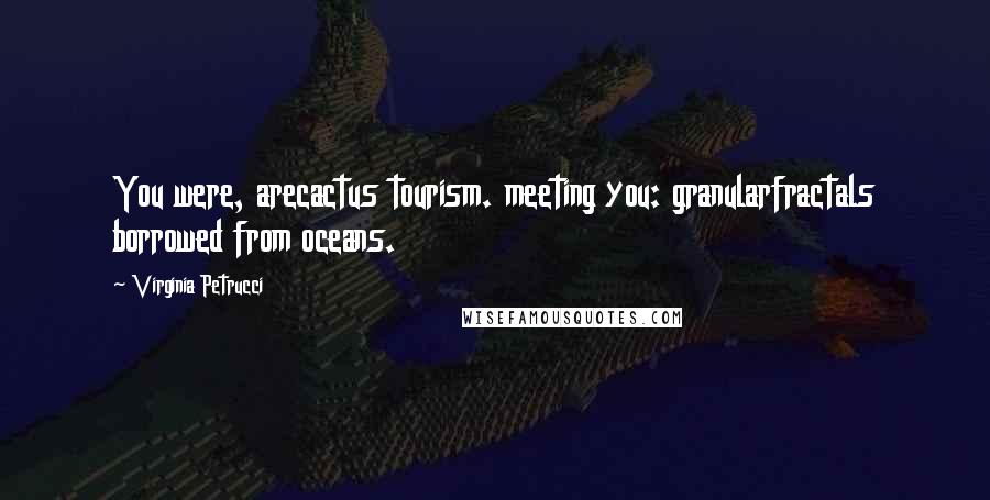 Virginia Petrucci Quotes: You were, arecactus tourism. meeting you: granularfractals borrowed from oceans.