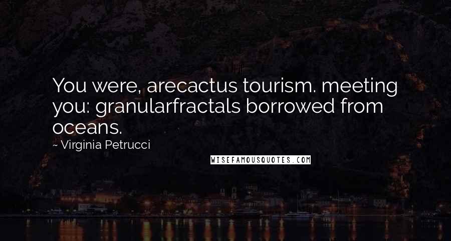 Virginia Petrucci Quotes: You were, arecactus tourism. meeting you: granularfractals borrowed from oceans.