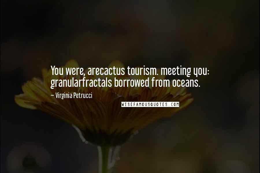 Virginia Petrucci Quotes: You were, arecactus tourism. meeting you: granularfractals borrowed from oceans.