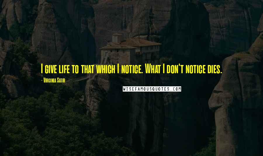 Virginia Satir Quotes: I give life to that which I notice. What I don't notice dies.