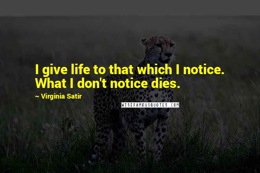 Virginia Satir Quotes: I give life to that which I notice. What I don't notice dies.