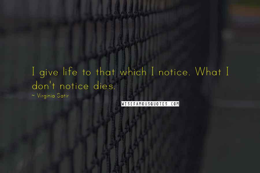 Virginia Satir Quotes: I give life to that which I notice. What I don't notice dies.