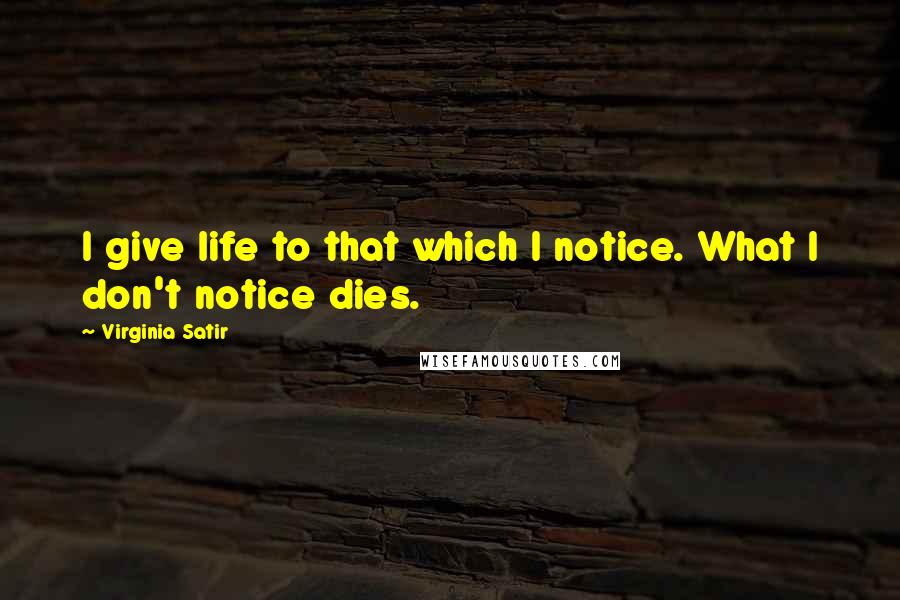 Virginia Satir Quotes: I give life to that which I notice. What I don't notice dies.