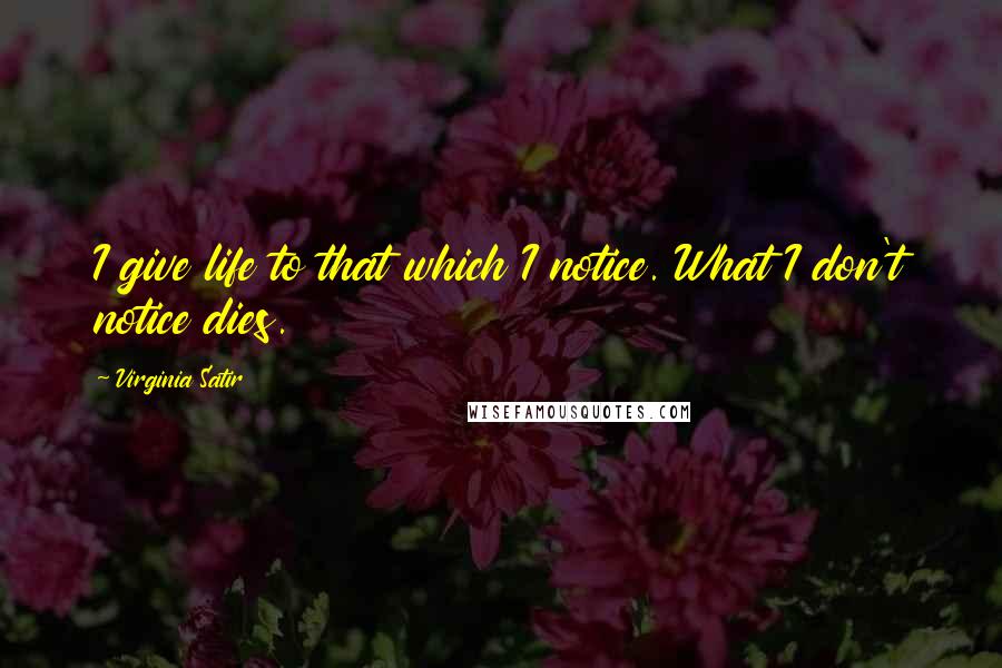 Virginia Satir Quotes: I give life to that which I notice. What I don't notice dies.