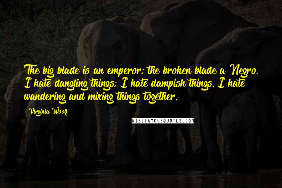 Virginia Woolf Quotes: The big blade is an emperor; the broken blade a Negro. I hate dangling things; I hate dampish things. I hate wandering and mixing things together.