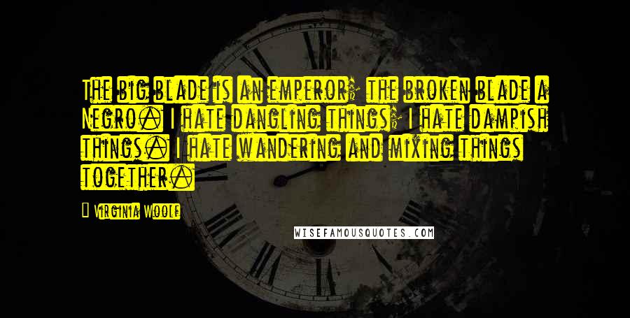 Virginia Woolf Quotes: The big blade is an emperor; the broken blade a Negro. I hate dangling things; I hate dampish things. I hate wandering and mixing things together.