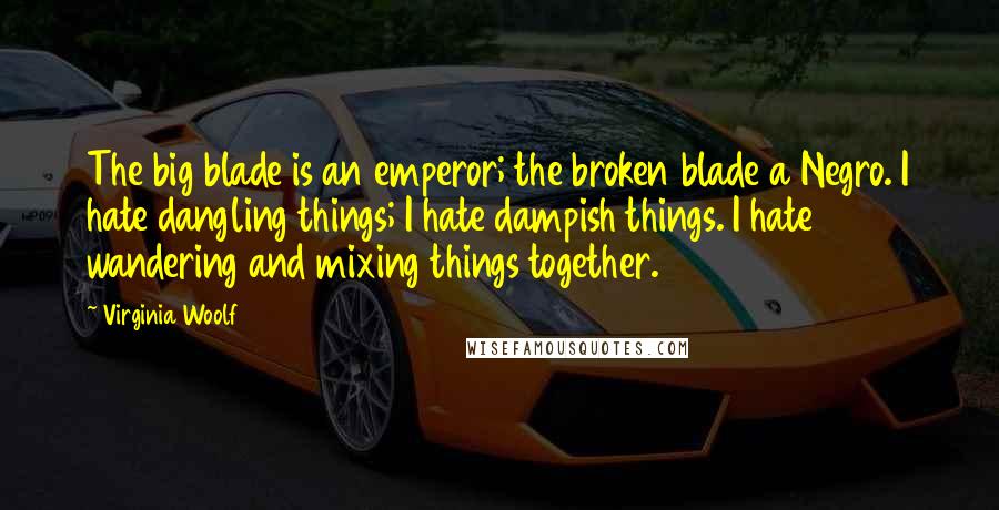 Virginia Woolf Quotes: The big blade is an emperor; the broken blade a Negro. I hate dangling things; I hate dampish things. I hate wandering and mixing things together.