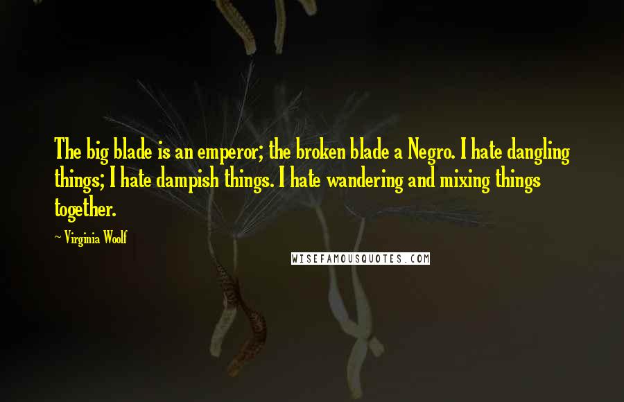 Virginia Woolf Quotes: The big blade is an emperor; the broken blade a Negro. I hate dangling things; I hate dampish things. I hate wandering and mixing things together.