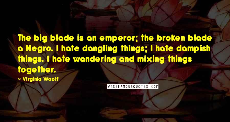 Virginia Woolf Quotes: The big blade is an emperor; the broken blade a Negro. I hate dangling things; I hate dampish things. I hate wandering and mixing things together.