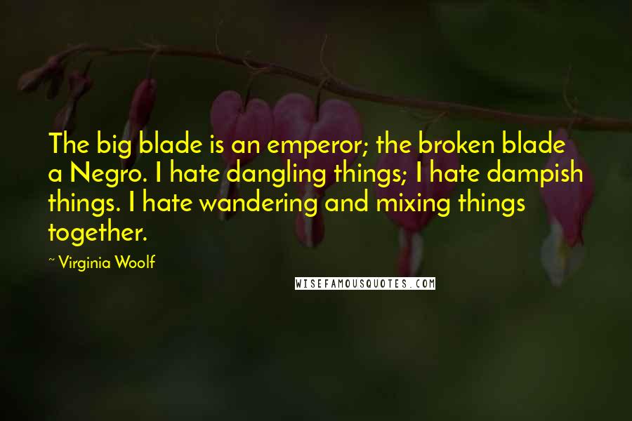 Virginia Woolf Quotes: The big blade is an emperor; the broken blade a Negro. I hate dangling things; I hate dampish things. I hate wandering and mixing things together.