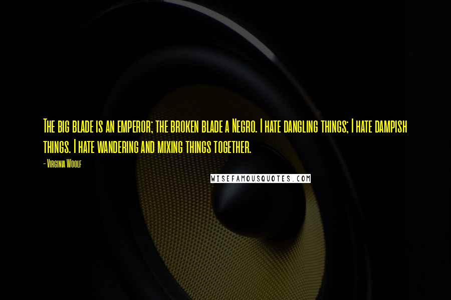 Virginia Woolf Quotes: The big blade is an emperor; the broken blade a Negro. I hate dangling things; I hate dampish things. I hate wandering and mixing things together.