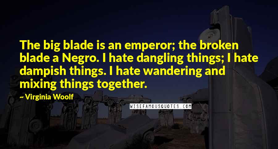 Virginia Woolf Quotes: The big blade is an emperor; the broken blade a Negro. I hate dangling things; I hate dampish things. I hate wandering and mixing things together.