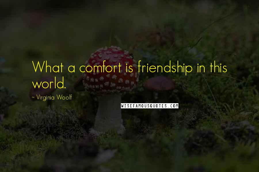 Virginia Woolf Quotes: What a comfort is friendship in this world.