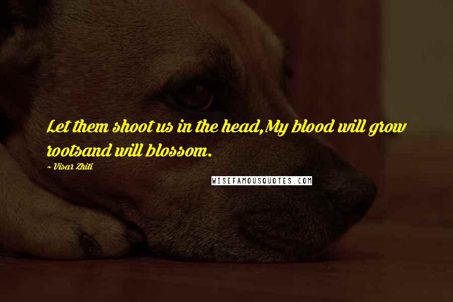 Visar Zhiti Quotes: Let them shoot us in the head,My blood will grow rootsand will blossom.