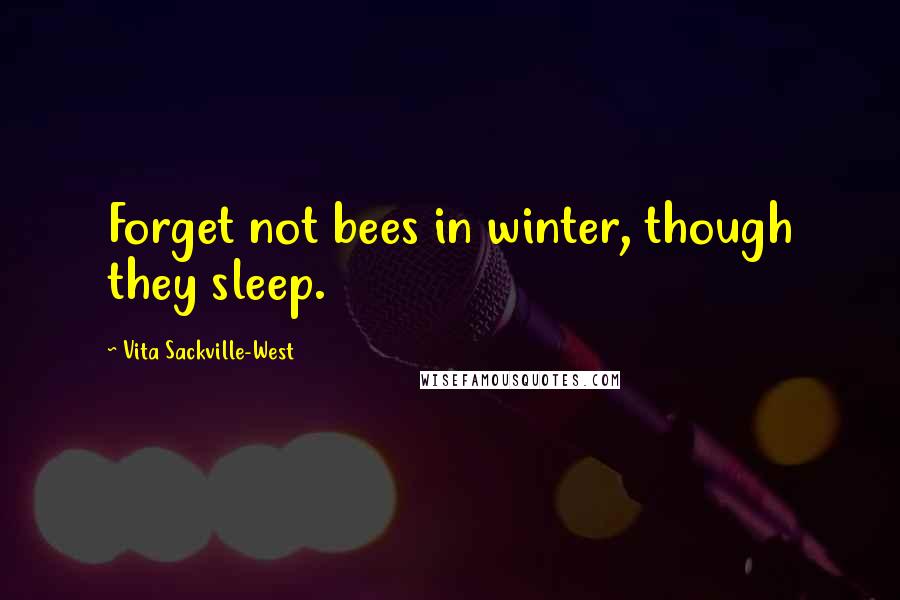 Vita Sackville-West Quotes: Forget not bees in winter, though they sleep.