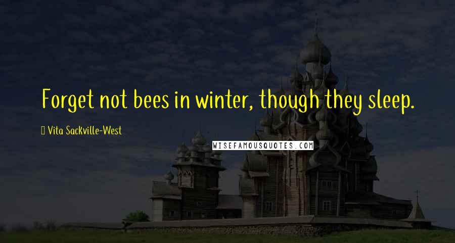 Vita Sackville-West Quotes: Forget not bees in winter, though they sleep.